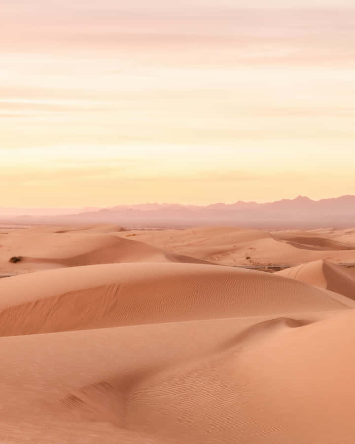 Ruhige Wüstendünen bei Sonnenuntergang