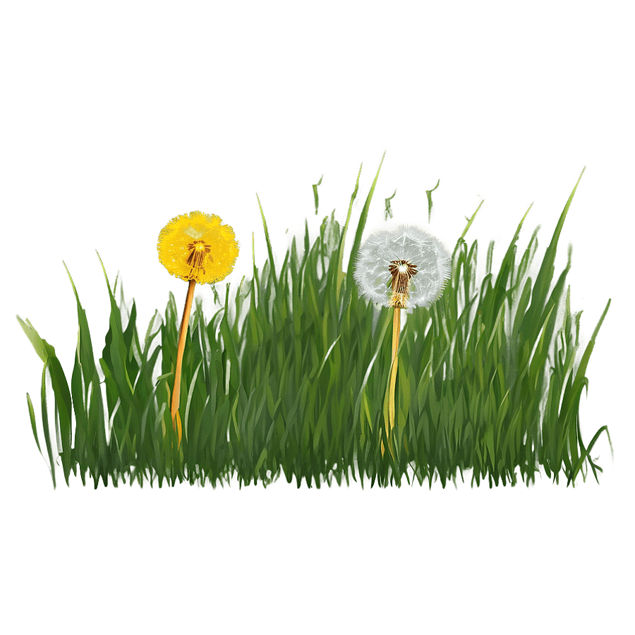 Dandelion in Grass PNG 4