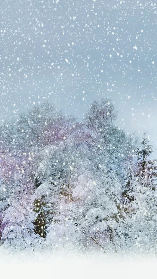Snow Falling