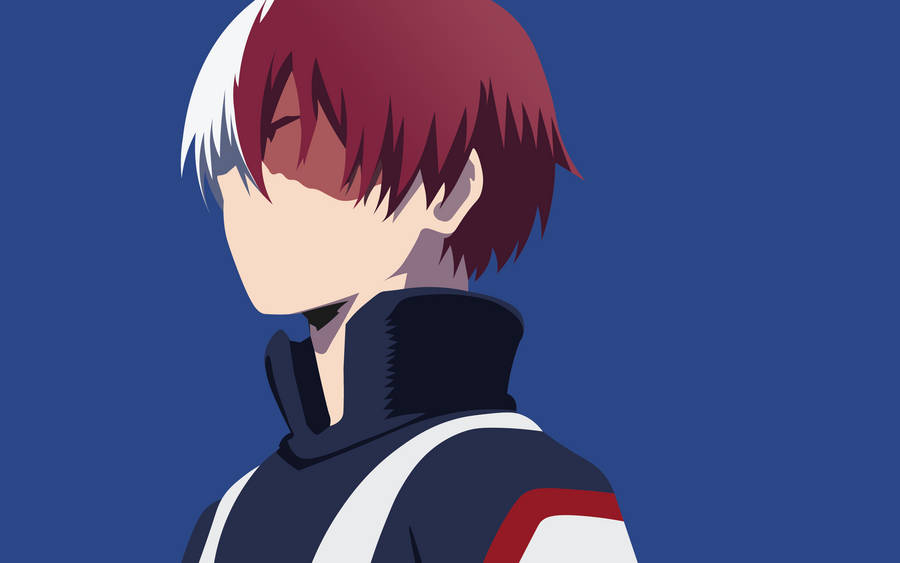 Download Todoroki Wallpaper