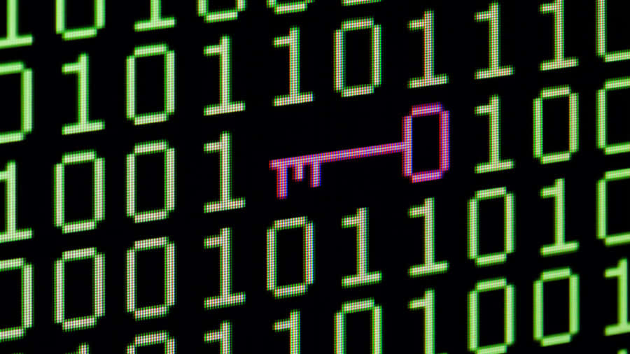 VerletzlicherProgrammiercode Hintergrundbilder
