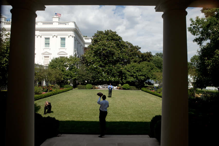 White House Rose Garden Pictures 3500 x 2333