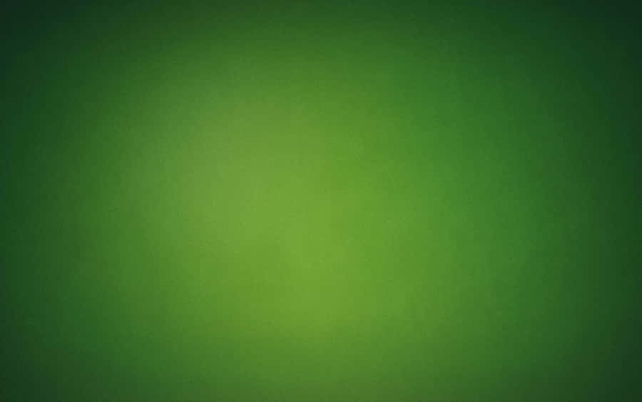 Sintaa tranquilidade da natureza com a incomparável beleza do verde.
