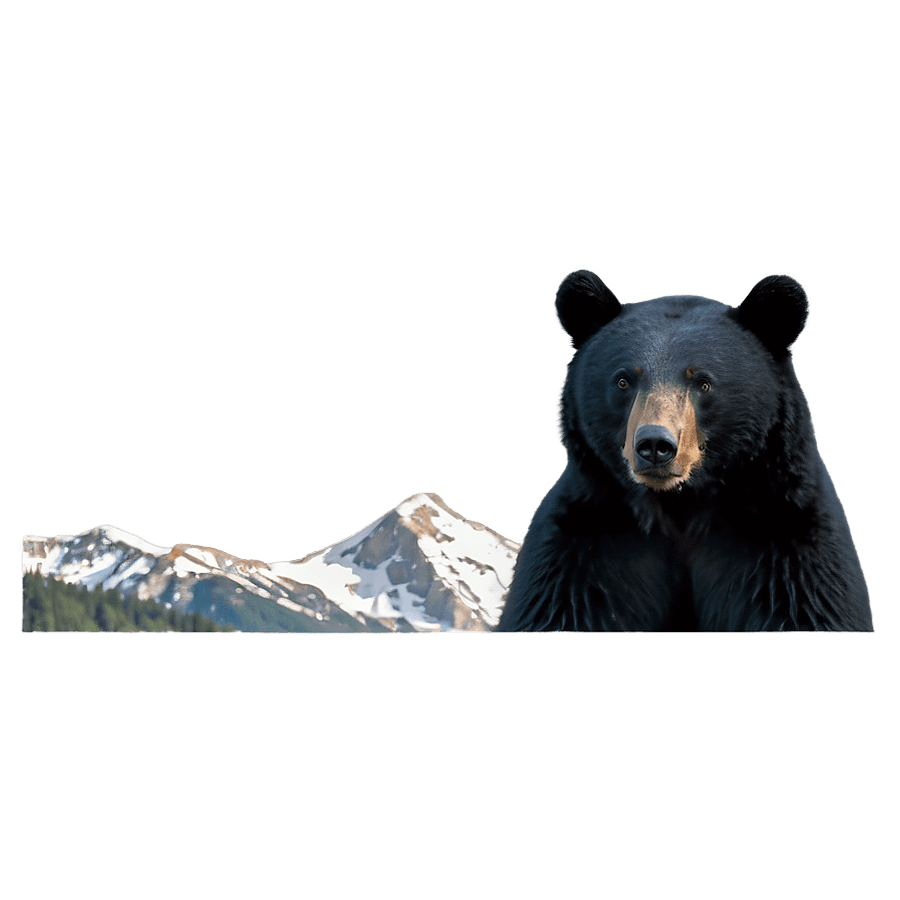 Black Bear with Mountain Backdrop PNG 54