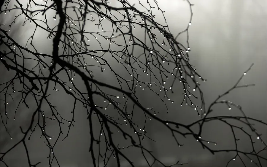 Grey Desktop