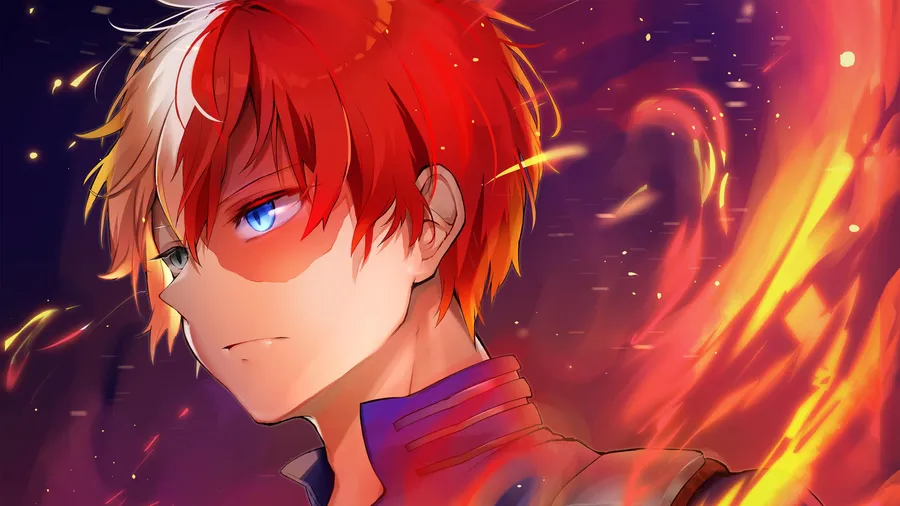 Todoroki pictures