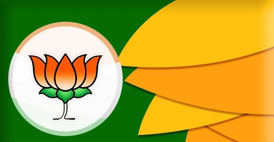 Bjp background