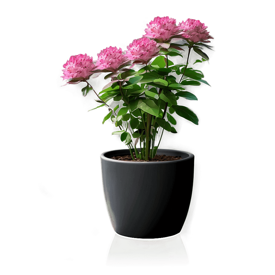 Modern Potted Plant PNG uge85