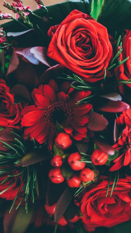 Red Flower Background