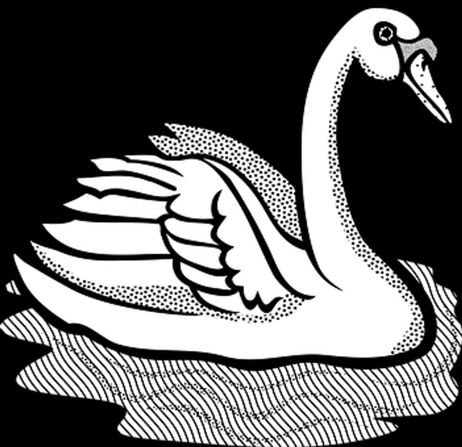 Graceful Swan Illustration