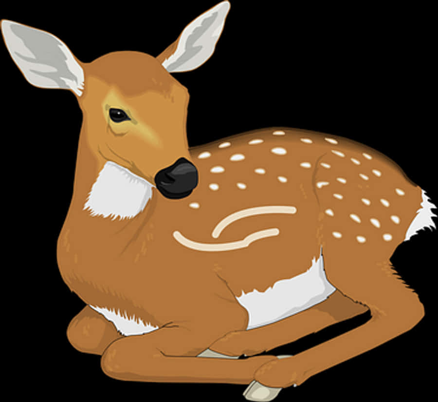 Resting Fawn Illustration