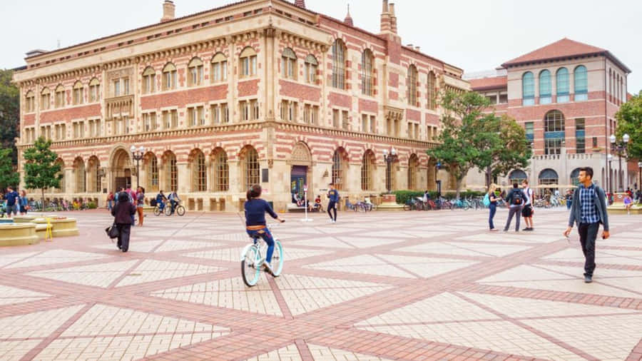 Vida no Campus Universitário