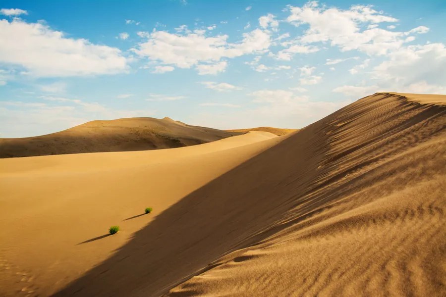 Dune Background