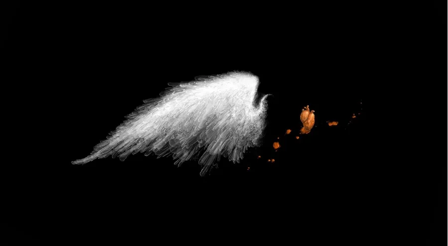 Wings Background