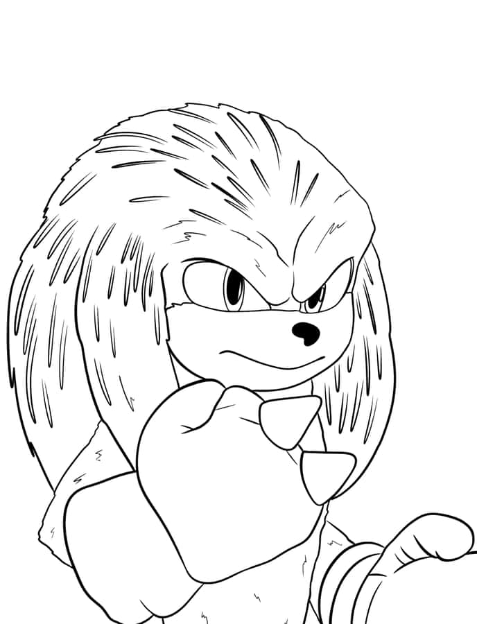 SonicAusmalbild mit ernstem Knuckles-Motiv.