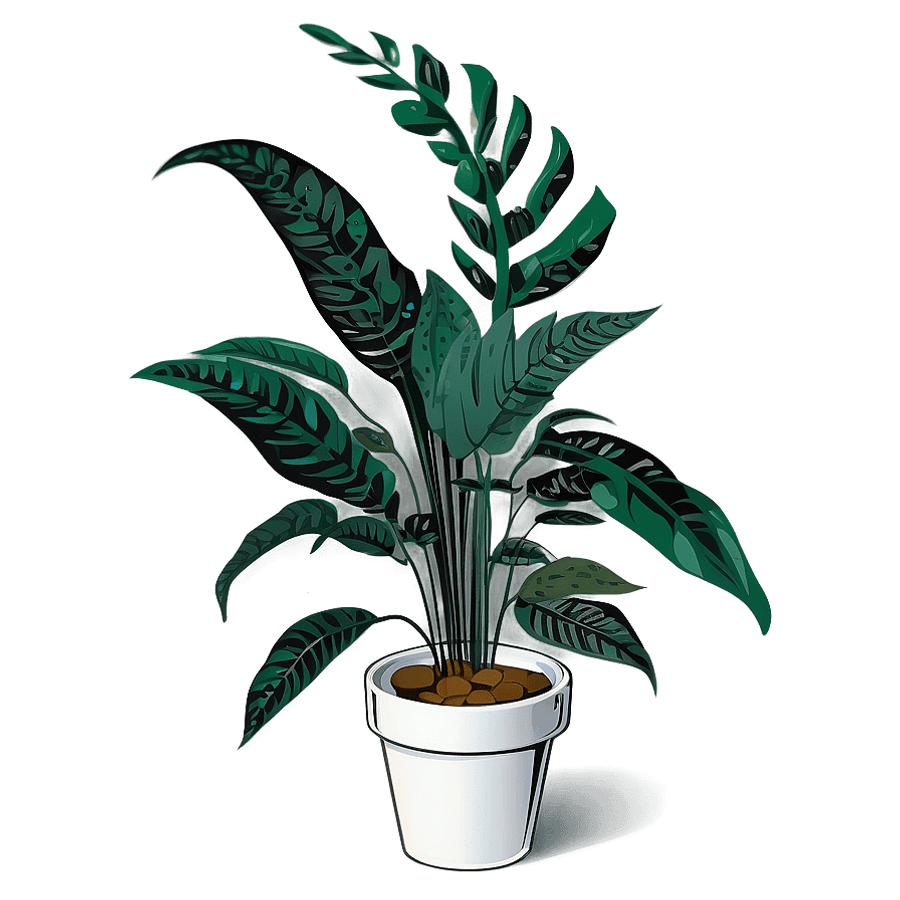 Minimalist Plant Illustration PNG fxw55