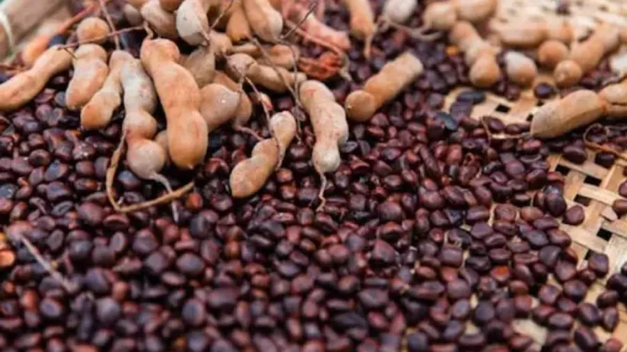 Tamarind Beans
