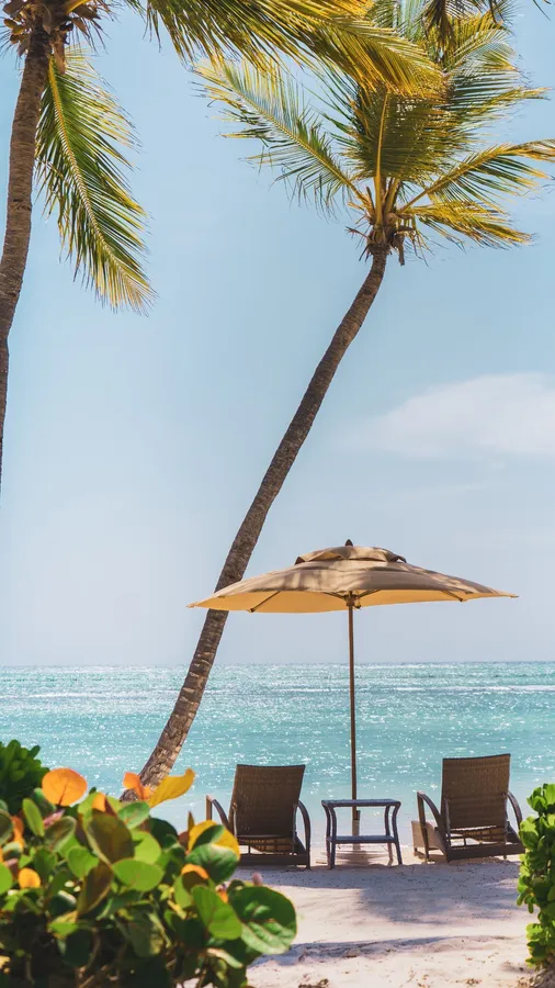 Android Summer Background