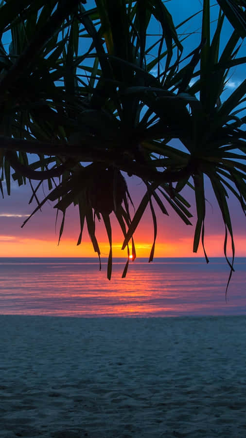 Spiaggia Tropicale al Tramonto per iPhone