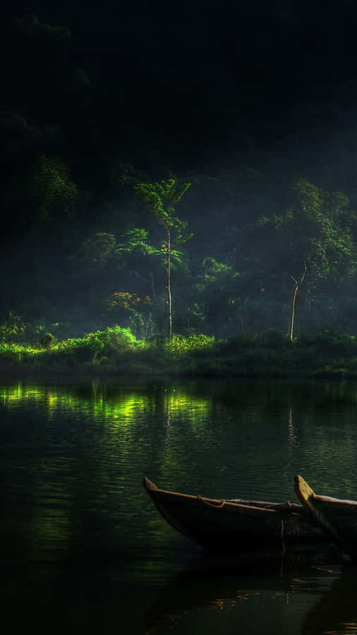 Floresta Noturna Mística à Beira do Rio