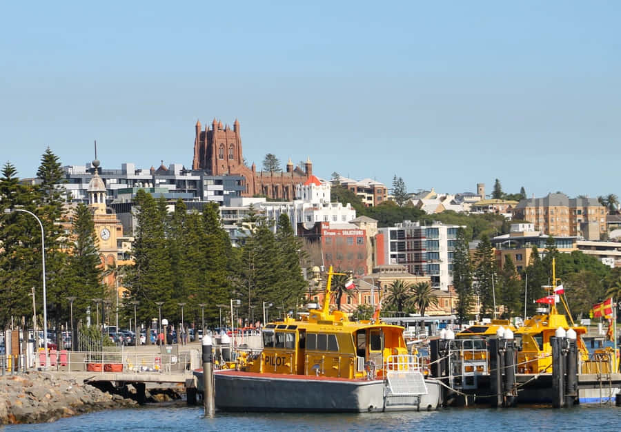 Newcastle Hafen Lotsenboote Australien
