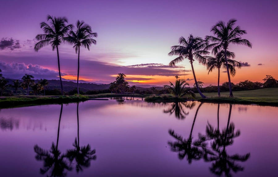 Download Wallpaper water, sunset, tropics, reflection