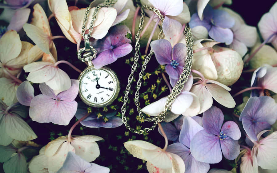 Watch background