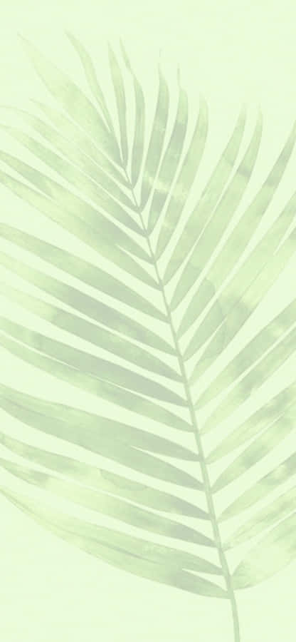 Papel de Parede Estético de Folha Verde Suave
