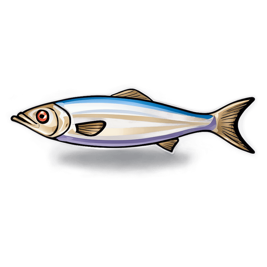Sardine Vector PNG 37