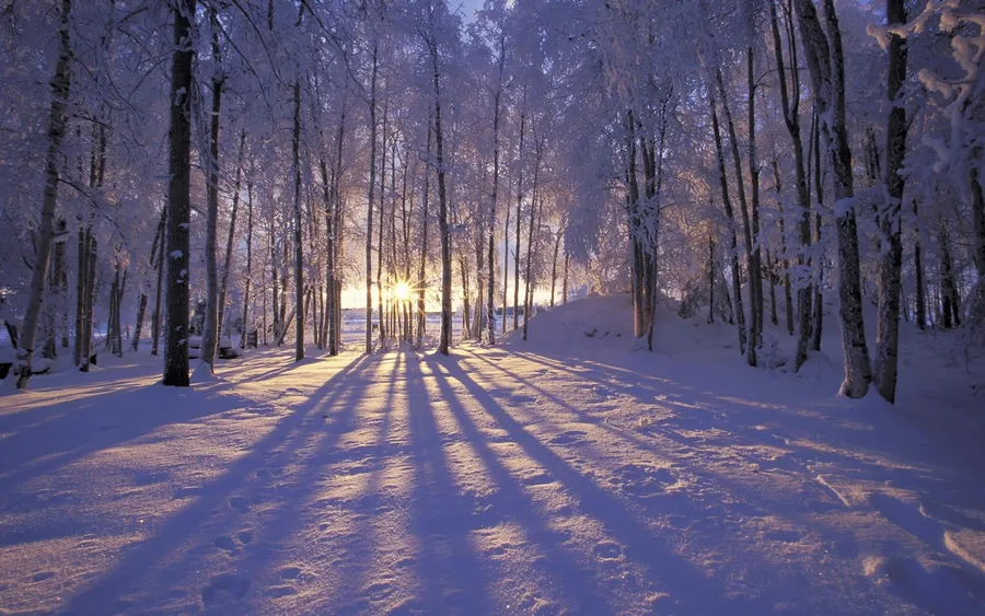 Winter Background