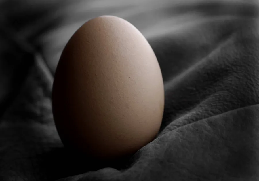 Egg background