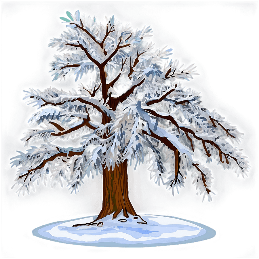 Snowy Tree in Park PNG 06212024