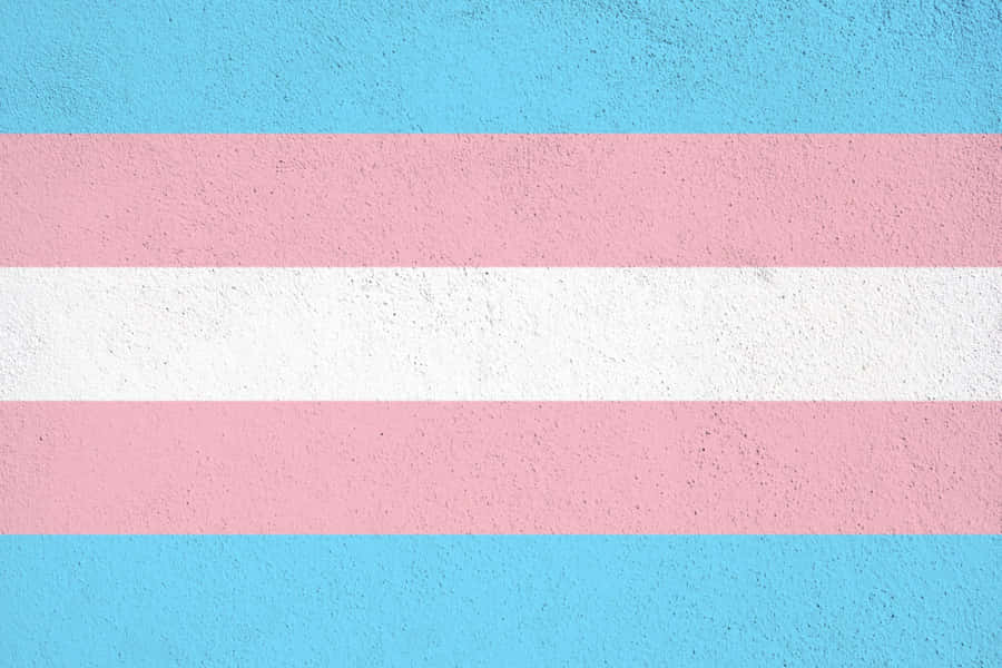 Sød LGBT Transgender Flag tema tapet.