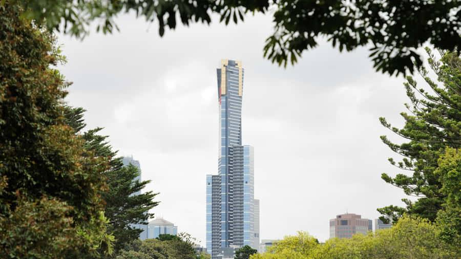 Torre Eureka emoldurada por Árvores
