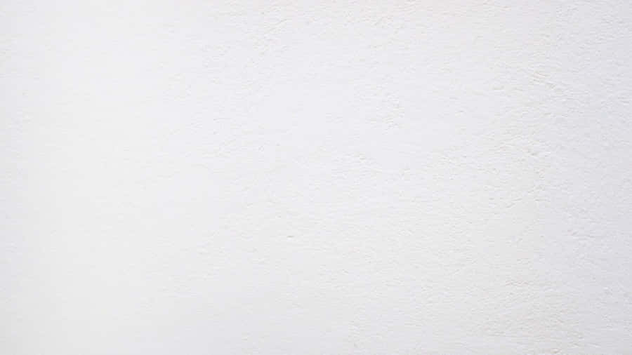 White Solid Background