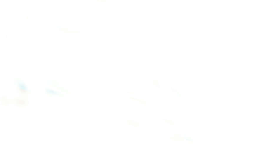 White Solid Background