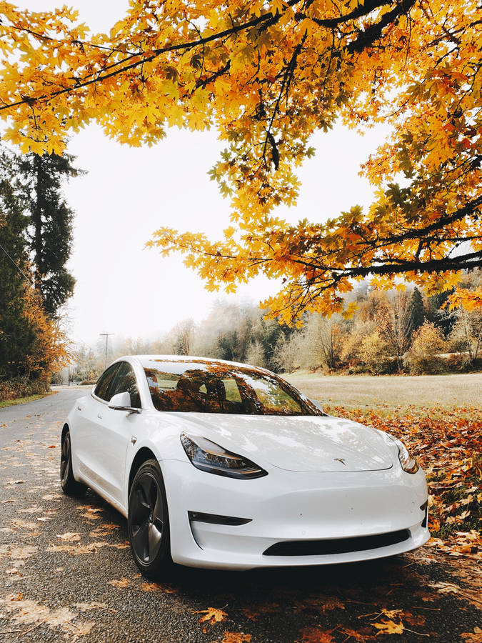 Download White Tesla Car In Autumn Wallpaper | Wallpapers.com