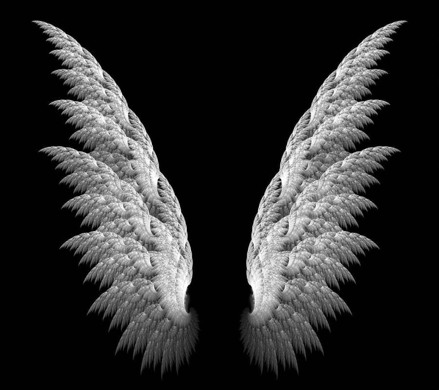 Wings Background