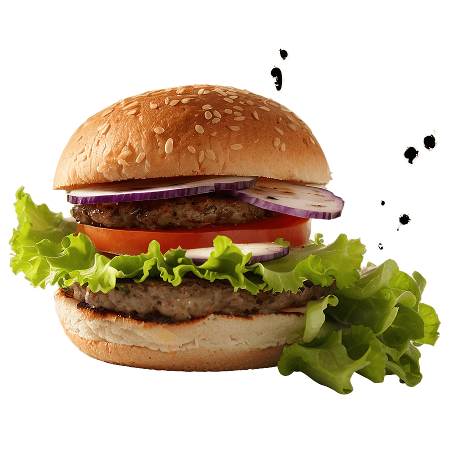Homemade Burger Patty PNG eni33
