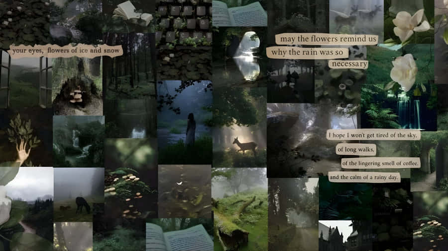 Grunge Fairycore Moodboard