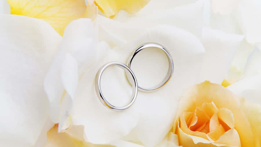 Alianças de Casamento em Fundo Floral