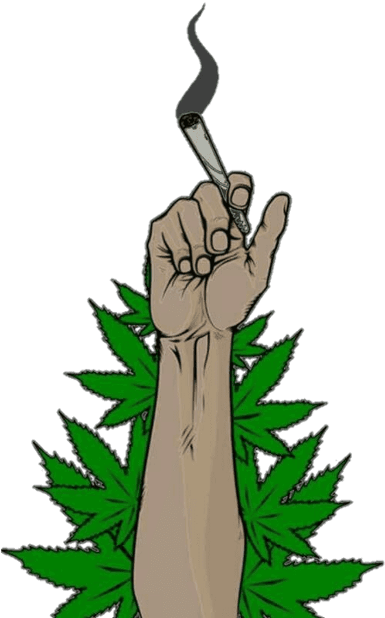 Cannabis Culture Fist Holding Joint