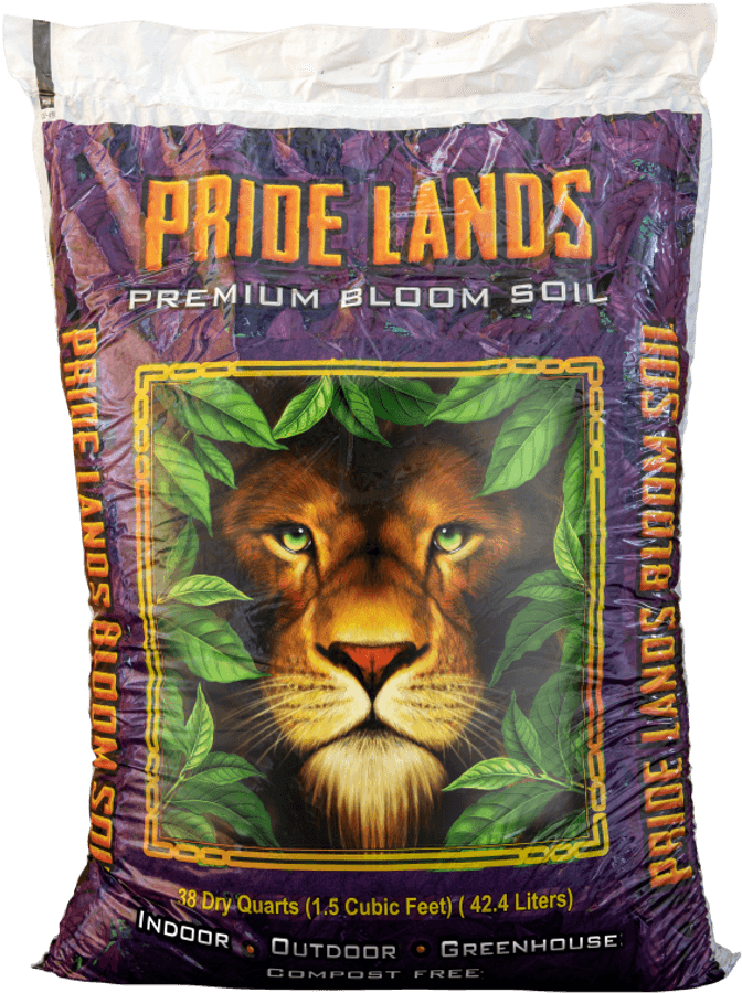 Pride Rock Png, Transparent Png