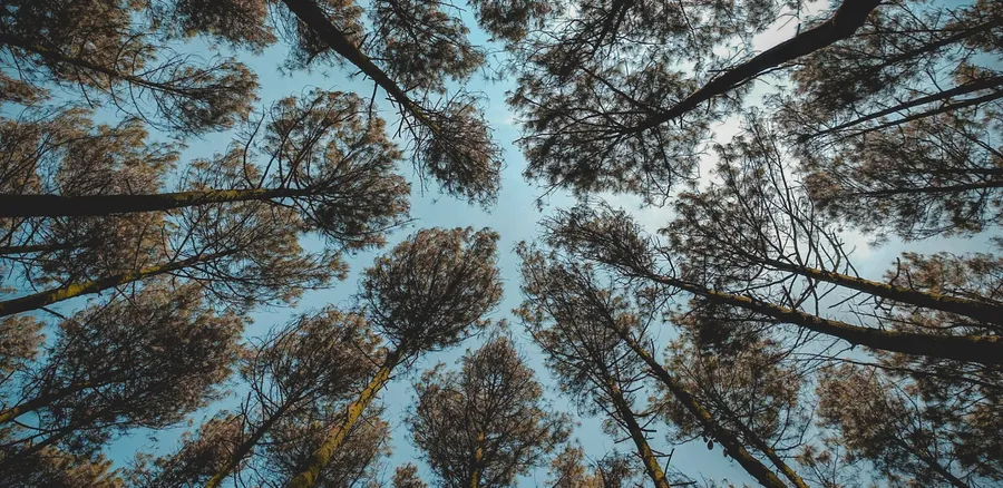 2220x1080