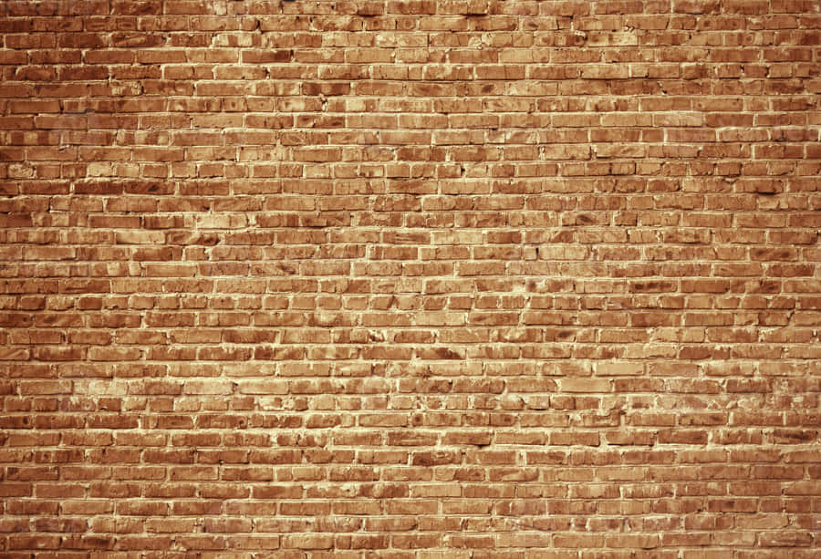 Segar [wallpaper]
