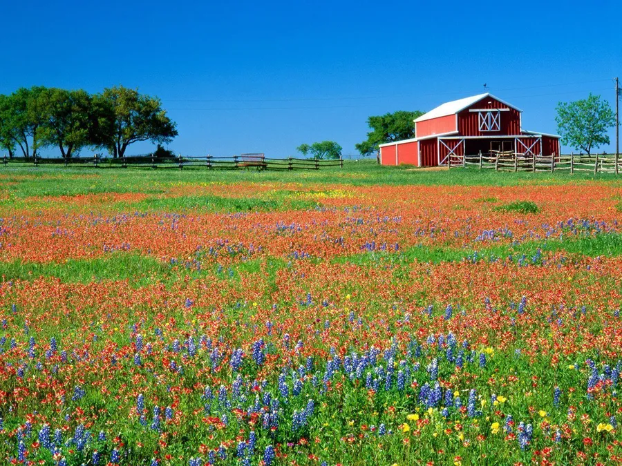 Barn Background