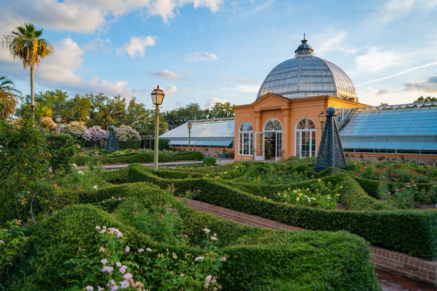 BotanischerGarten 3000 x 2000 Hintergrundbild