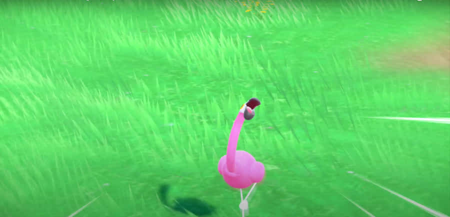 Strahlender Flamigo Pokémon gibt einen Kampfschrei von sich