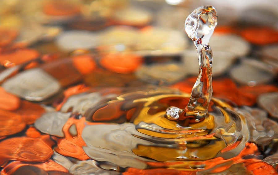 Eineinzelner Wassertropfen glänzt im Sonnenstrahl.