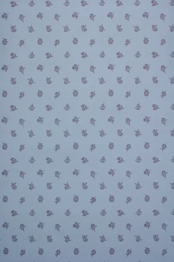 1950s Background